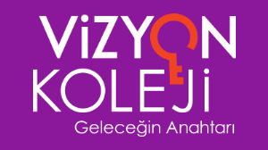 Vizyon Koleji